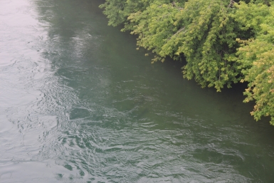 14 апреля на Ставрополье: донские казаки защитили Россию на реке Калалы