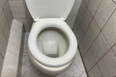 Сок 1 фрукта в унитаз - и каменный налет сам отпадает: трюк из дорогих отелей ИА StolicaMedia