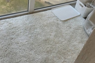 2 капли - и 20-летний ковер задышит чистотой: древние пятна отходят, а ворс мягче, чем у нового ИА StolicaMedia