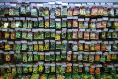 Семена растений телеграм-канал Управления Россельхознадзора Забайкалья