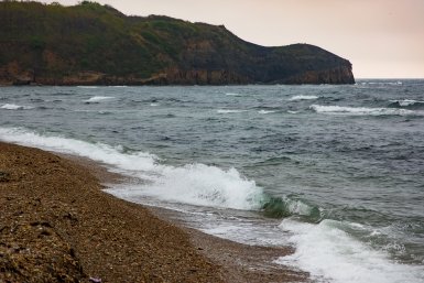 Плавание Илья Аверьянов, ИА PrimaMedia.ru