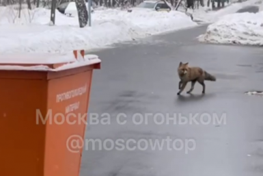 Тематическое фото Telegram / &quotМосква с огоньком&quot (18+)