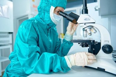 В каких ведущих компаниях Москвы проходят практику студенты https://www.mos.ru