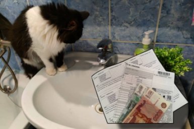 Тематическое фото Коллаж ИА StolicaMedia