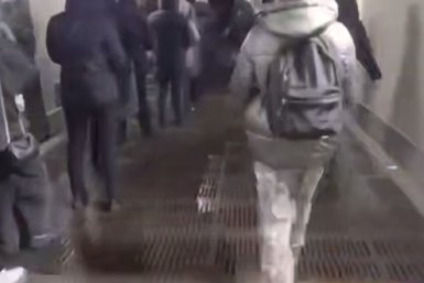 Последствия снегопада в Москве Телеграм-канал &quotМосква с огоньком&quot