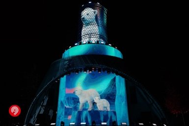 показ столичного департамента транспорта