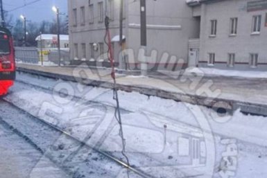 Обрыв контактной сети произошел на ж/д в Подмосковье Telegram / &quotПодслушано электрички Москвы&quot (18+)