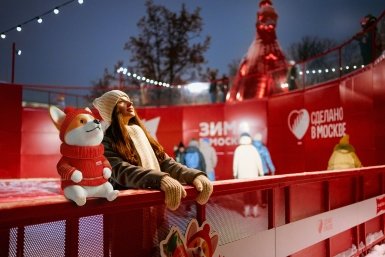&quotМосфото&quot показало фоторепортаж с героями &quotЗимы в Москве&quot https://foto.mos.ru/