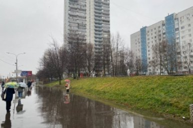 Слякоть в Москве ИА StolicaMedia