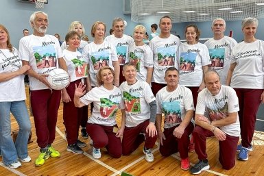 Миниволей https://www.mos.ru/