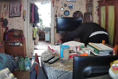 Тематическое фото Пресс-служба ГУ МВД России по Москве