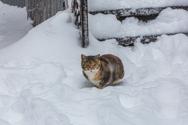 снег Мария Смитюк, ИА PrimaMedia