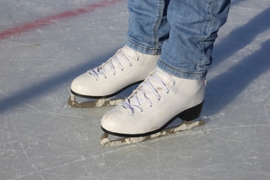 ледовый каток Александр Музыка, ИА EAOMedia