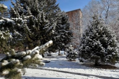 Зима, снег, погода Марина Кудрявцева, ИА UssurMedia.