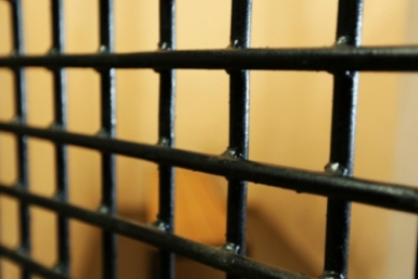 преступление криминал решетка клетка Вероника Рыбальченко, ИА MagadanMedia