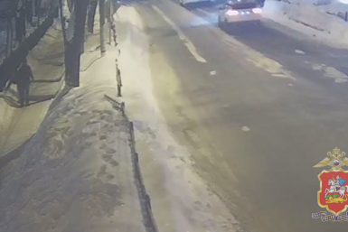 Тематическое фото Telegram / Подмосковная полиция