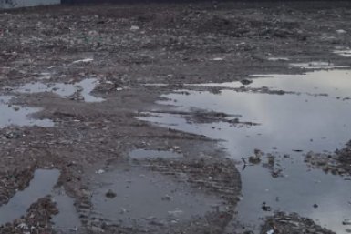 Свалка в Подмосковье Минэкология Московской области