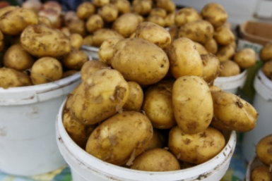  Александр Хитров, ИА PrimaMedia