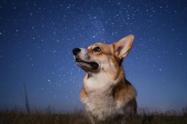 точный гороскоп ИИ Kandinsky (18+)