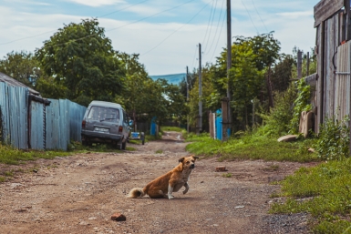 Тематическое фото Мария Смитюк, ИА PrimaMedia