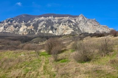 Организатор экоакции заплатит штраф за загрязнении природы на Ставрополье Пресс-служба прокуратуры Ставрополья