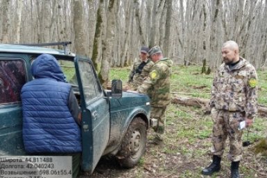 27 протоколов на сборщиков черемши в заказниках составили на Ставрополье Пресс-служба минприроды Ставрополья