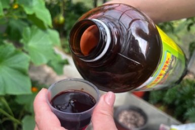 Муравьи бегут от этой отравы за 5 км: натуральный состав, прыскаю раз в месяц и радуюсь ИА SevastopolMedia