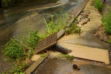 дождь, подтопление, потоп Дмитрий Осипчук, ИА PrimaMedia