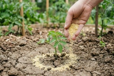 Тематическое фото Создано при помощи ИИ