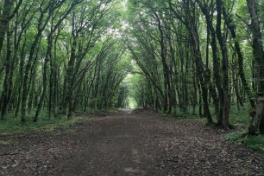 Тематическое фото ИА Stavropol.Media, Елена Гиневская