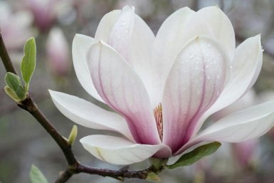  сгенерировано при помощи ИИ