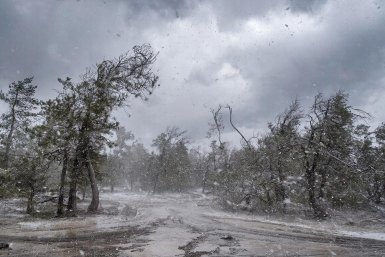 Климат сходит с ума: почему старые прогнозы погоды больше не работают в России