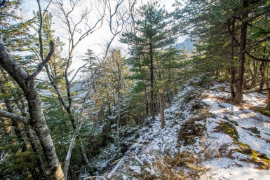 горы, лес, природа, Приморье, поход, погода, снег Мария Смитюк, ИА PrimaMedia