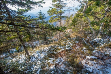 Тематическое фото Мария Смитюк, ИА PrimaMedia