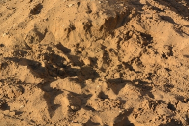 Песок, пустыня Наталья Баграновская, ИА EAOmedia