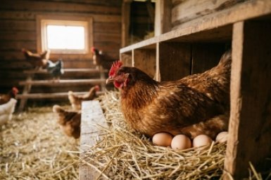 Тематическое фото Создано при помощи ИИ