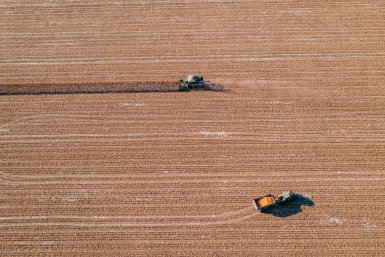 Тысячи машин выйдут в поля: Подмосковье готовится к посевной