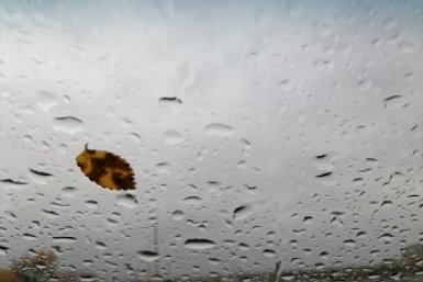 "Циклон накроет столицу": синоптик предупредила о холодной и дождливой неделе