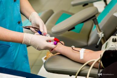 Более 230 жителей Подмосковья стали почетными донорами с начала года