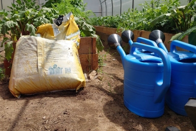 Дачникам пригрозили штрафом за установку одного вида заборов