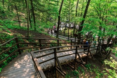 Туристы наткнулись на останки матери троих детей во время похода в США