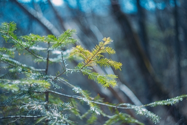 В Балашихе куклу приняли за труп 