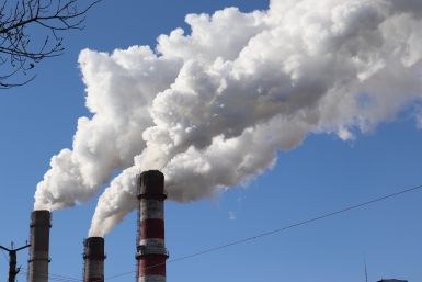 В Подмосковье пресекли серию эконарушений