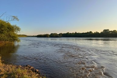 "Как в газовой камере": жители Долгопрудного массово жалуются на едкий запах