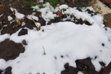  ИА Stavropol.Media