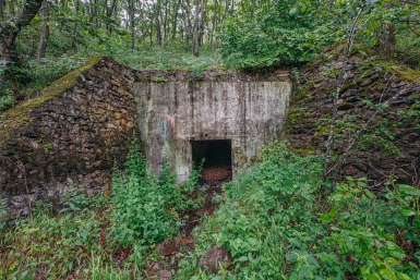 Целый бункер: что покупают россияне в Новой Зеландии за 200 миллионов