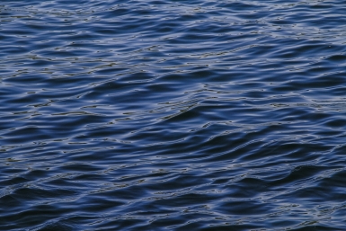 В Волгограде шторм потопил яхту скандального миллионера за 18 млн рублей