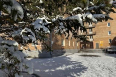 Тематическое фото Марина Кудрявцева, ИА UssurMedia.