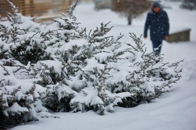 Тело женщины найдено в Москве во время снегопада