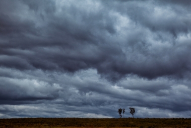 В регионе из-за ураганного ветра перевернулся грузовик с прицепом